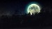 full-moon-beyond-the-pines-165451